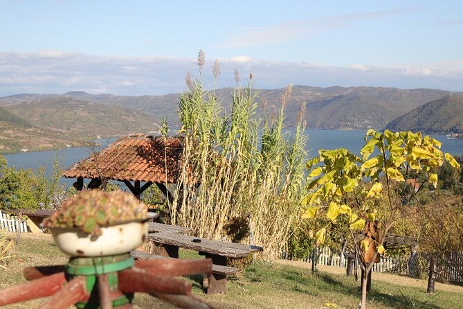 Along the Danube: Golubac Fortress & Iron Gate Gorge day trip from Belgrade - The return to Belgrade