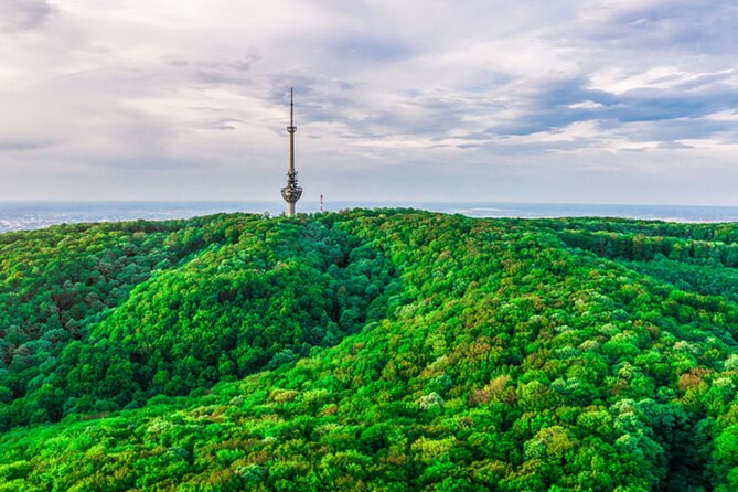 Avala Mountain Private Tour - Two hours among Avala’s protected nature