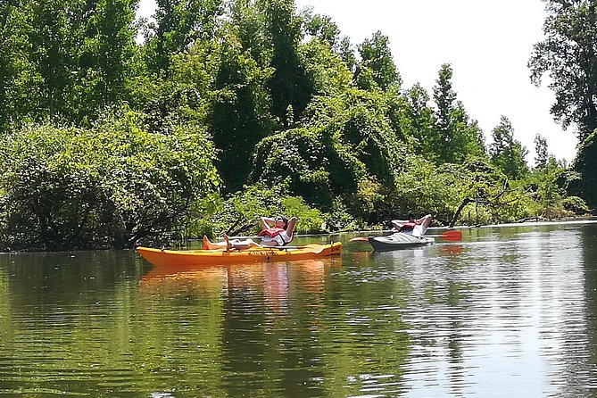 Belgrade Amazon Kayak Adventure - From Belgrade’s riverfront to the Danube channels