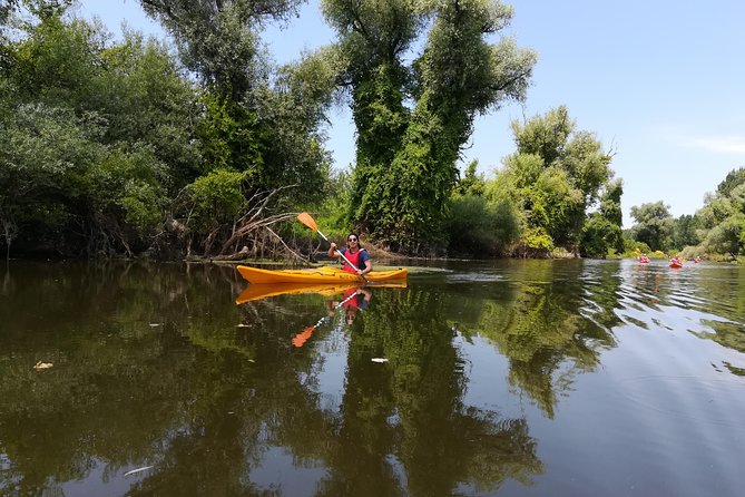 Belgrade Amazon Kayak Adventure - Birdlife, plants, and small animals