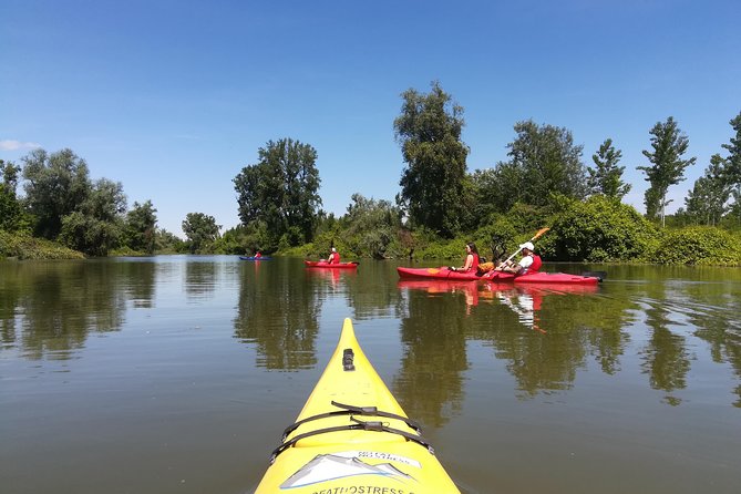 Belgrade Amazon Kayak Adventure - Who will enjoy this kayaking adventure most