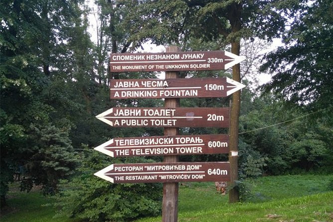 Belgrade City Tour and Avala Mountain - Saint Sava Temple: thirty minutes beneath a huge Orthodox dome