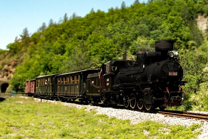 Belgrade: Mokra Gora, Šargan 8, Drina river house Full Day Tour - How the guides shape the day