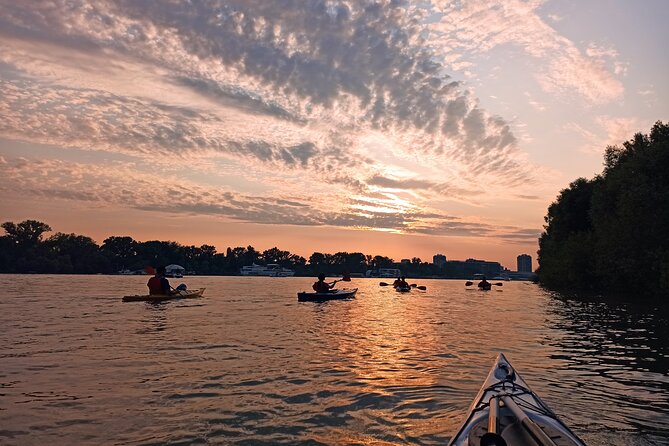 Belgrade sunset kayak tour - How difficult is the paddling?