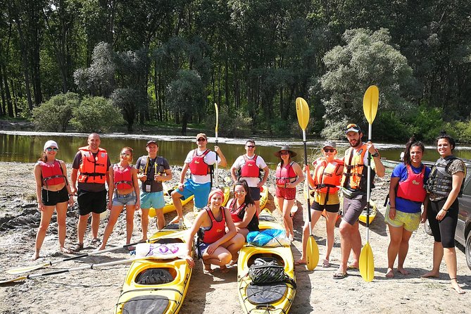 Belgrade War Island Kayak Tour - Key things to know before you book