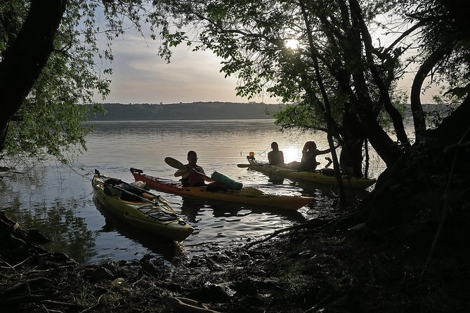 Belgrade War Island Kayak Tour - Why Great War Island is the right place to kayak