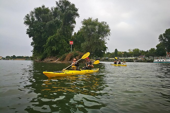 Belgrade War Island Kayak Tour - Your first lesson on the Danube