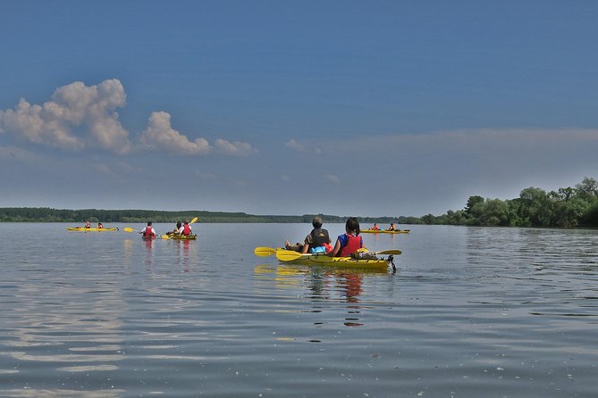 Belgrade War Island Kayak Tour - Crossing toward the Sava and Belgrade’s skyline