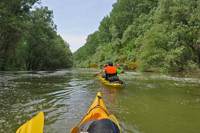 Belgrade War Island Kayak Tour - Entering Great War Island and Veliki Galijaš