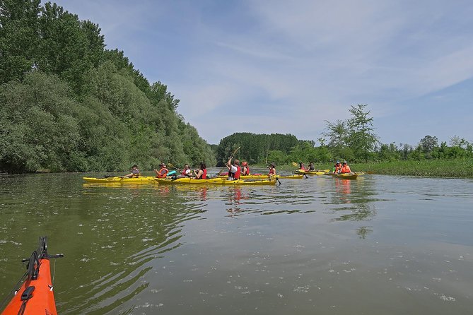 Belgrade War Island Kayak Tour - The return trip and the three-hour pace