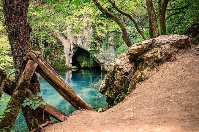 Day Trip from Belgrade: Gems of Eastern Serbia - Who should book this Eastern Serbia day trip?