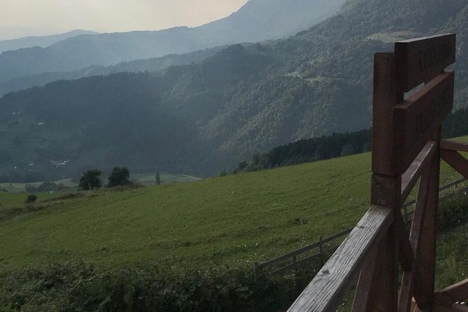 Feel Serbia - Why this western Serbia day trip is worth considering