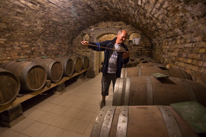 From Belgrade: Novi Sad and Sremski Karlovci Tour - Who should book this northern Serbia day trip?