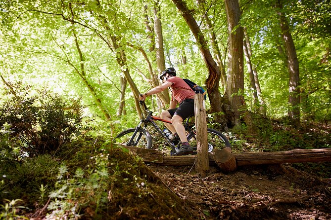 Fruška Gora Bike Tour - Who will enjoy this six-hour adventure