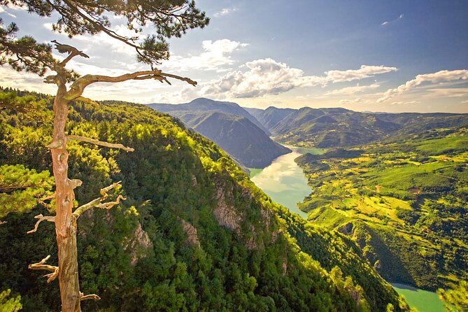 Full Day Trip from Belgrade: The Drina River House And Tara Park Tour - Why this western Serbia day trip is worth the long ride