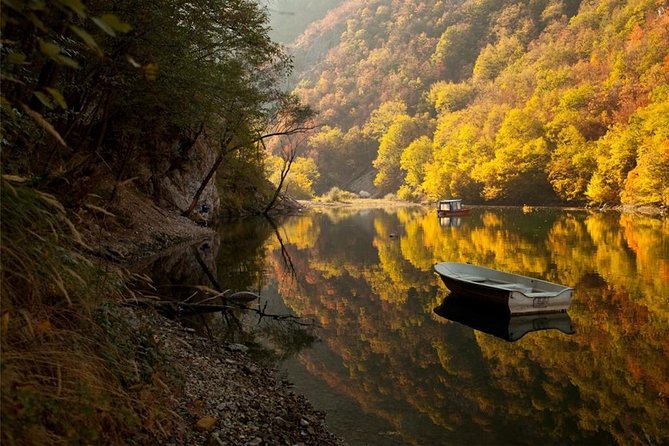Full Day Trip from Belgrade: The Drina River House And Tara Park Tour - Guides who make the road time easier