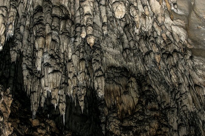 Full Day Trip from Belgrade: Uvac Nature Reserve Tour - The Return to Belgrade