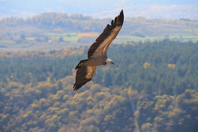 Full Day Trip from Belgrade: Uvac Nature Reserve Tour - Leaving Belgrade at 6:00 a.m.