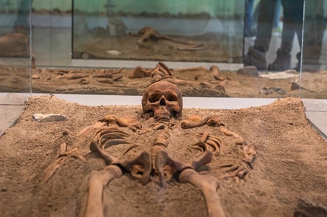Iron Gate NP Tour with 1-hour speedboat ride + 2 viewpoints - Lepenski Vir and 8,000 years of human settlement