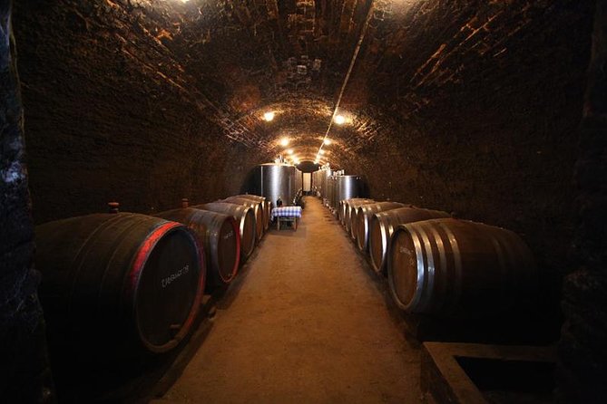 Novi Sad and Sremski Karlovci private tour with wine tasting - Why this private route works well from Belgrade