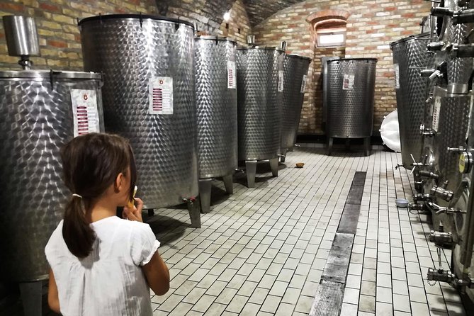 Novi Sad Saturday Full day trip - Krušedol Monastery and a brief sacred stop