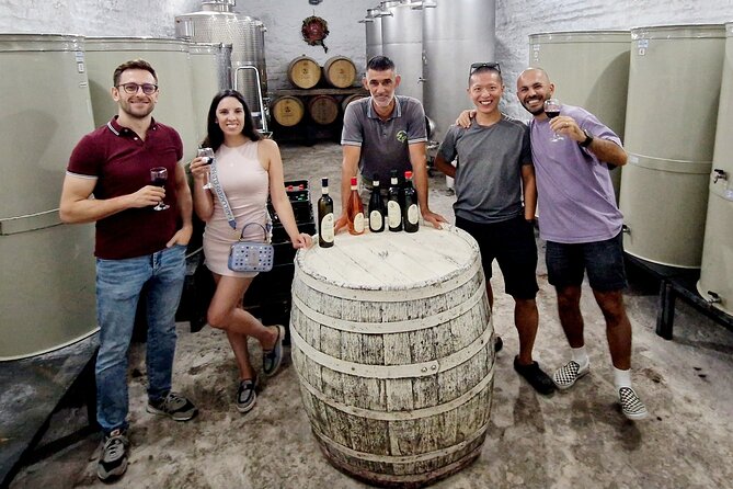 Private Day Tour Discovering Hidden Gems of Novi Sad in Luxury - Petrovaradin Fortress and Danube views