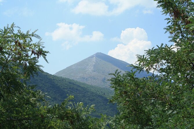Private Day Tour to UNESCO site Felix Romuliana - What the guide can add to Roman and Serbian history