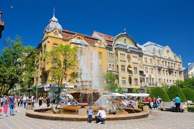Private Day Trip to Timisoara from Belgrade - What $226.85 per person buys you