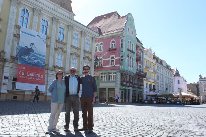Private Day Trip/Transfer Tour from Belgrade to Timisoara - Two ways to use the Belgrade to Timisoara trip