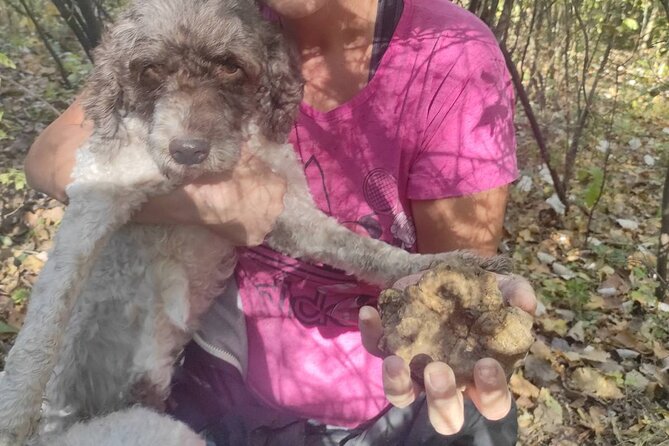 Private Guided Truffle Hunting Tour in Serbia with Lunch - White and black truffles by season