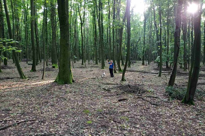 Private Guided Truffle Hunting Tour in Serbia with Lunch - Timing, weather, and practical planning