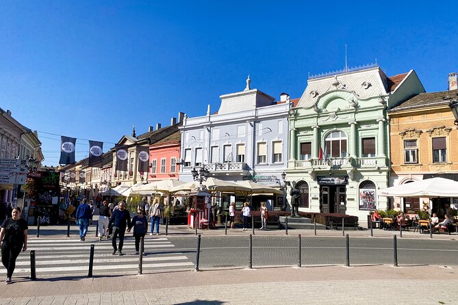Private Novi Sad, Titanic wine tasting and Farmer's House - Who should book this Novi Sad excursion?