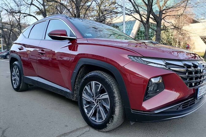 Private transfer from Belgrade or Belgrade Airport to Novi Sad - From Nikola Tesla Airport to Novi Sad without the usual airport fuss