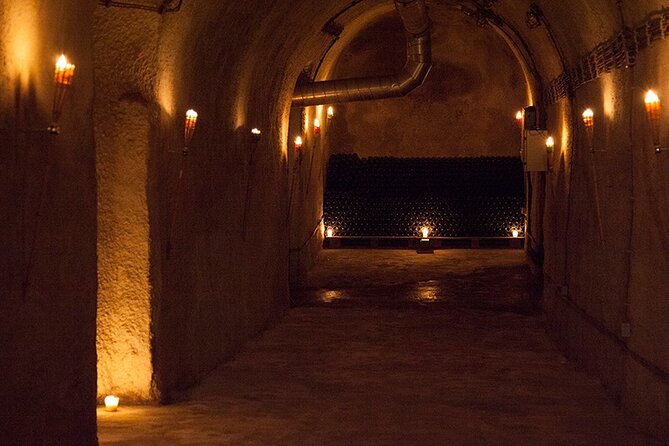Private Wine Tasting by Party in Belgrade - Who will enjoy this Belgrade evening?