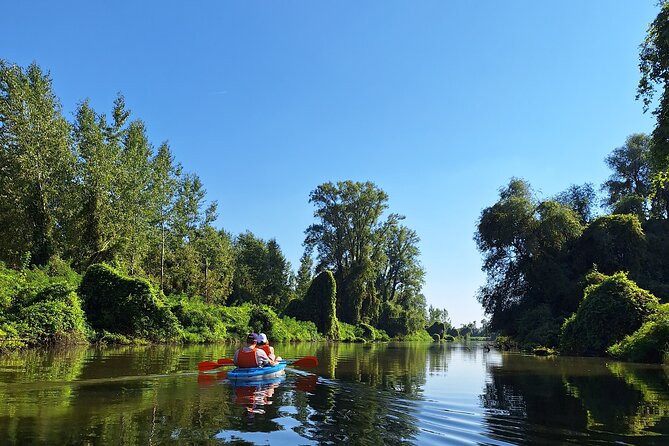 Self-guided kayak tour in Belgrade - My call: book it if you want an active view of Belgrade