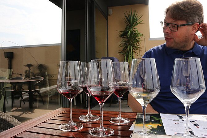 Small Group Wine Tour in Sumadija Wine Region - The guides make a real difference