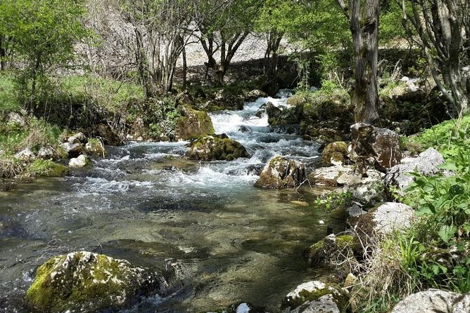 Treasures of Eastern Serbia private tour - The pace, comfort, and small drawbacks